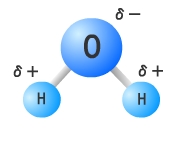 水素結合